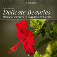Delicate Beauties - Hibiscus Flowers in Magnificent Colors 2017