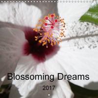 Blossoming Dreams 2017