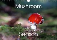 Mushroom Season 2017