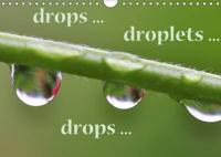 Drops ... Droplets ... Drops ... 2017