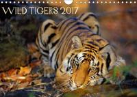 Wild Tigers 2017 2017
