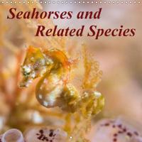 Seahorses and Related Species 2017