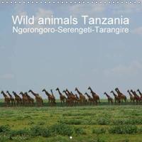 Wild Animals Tanzania 2017