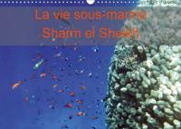 Vie Sous-Marine Sharm El Sheikh 2017