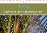 Trees, Beloved of the Mediterranean Sun 2017