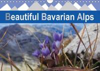 Beautiful Bavarian Alps 2017