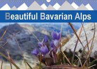 Beautiful Bavarian Alps 2017
