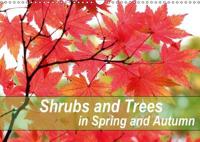 Shrubs and Trees in Spring and Autumn 2017
