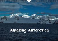 Amazing Antarctica 2017