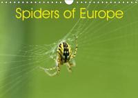 Spiders of Europe 2017