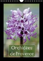 Orchidees De Provence 2017