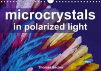 Microcrystals in Polarized Light 2017