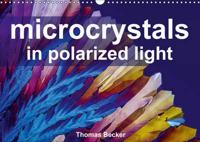 Microcrystals in Polarized Light 2017