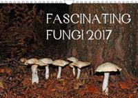 Fascinating Fungi 2017 2017