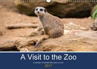 Visit to the Zoo 2017