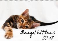 Bengal Kittens 2017 2017