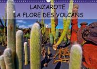 Lanzarote La Flore Des Volcans 2018