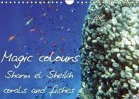 Magic Colours Sharm El Sheikh Corals and Fishes 2018