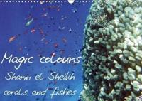 Magic Colours Sharm El Sheikh Corals and Fishes 2018