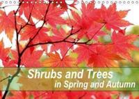 Shrubs and Trees in Spring and Autumn 2018