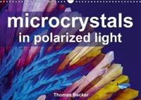 Microcrystals in Polarized Light 2018