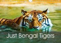 Just Bengal Tigers 2018