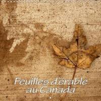 Feuilles D'erable Au Canada 2018