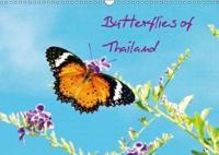 Butterflies of Thailand 2018