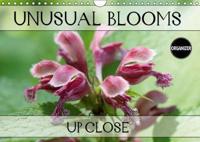 Unusual Blooms Up Close 2018