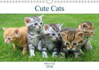 Cute Cats 2018
