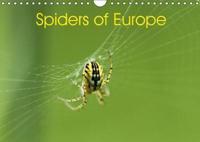 Spiders of Europe 2018