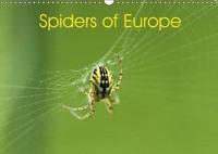 Spiders of Europe 2018