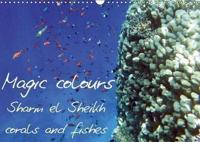 Magic Colours Sharm El Sheikh Corals and Fishes 2019