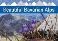 Beautiful Bavarian Alps 2019