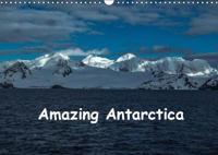 Amazing Antarctica 2019