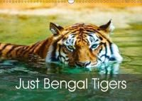 Just Bengal Tigers 2019
