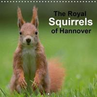 The Royal Squirrels of Hannover 2019