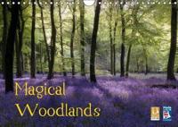 Magical Woodlands 2019