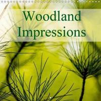 Woodland Impressions 2019