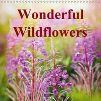Wonderful Wildflowers 2019