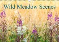 Wild Meadow Scenes 2019