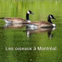 Les oiseaux a Montreal 2019