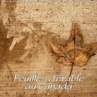 Feuilles D'erable Au Canada 2019