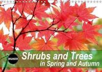 Shrubs and Trees in Spring and Autumn 2019