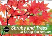 Shrubs and Trees in Spring and Autumn 2019
