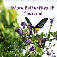 More Butterflies of Thailand 2019