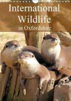 International Wildlife in Oxfordshire 2019