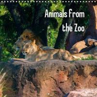 Animals from the Zoo 2019