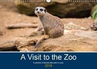 Visit to the Zoo 2019