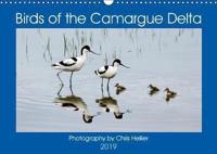 Birds of the Camargue Delta 2019